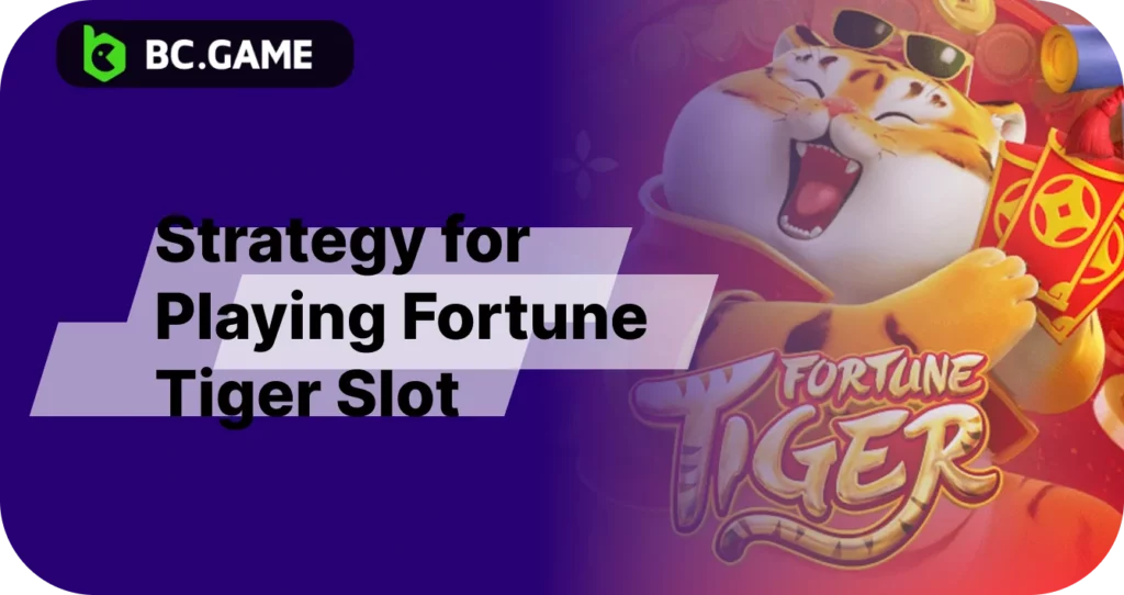 Winning strategy at BC Game Fortune Tiger